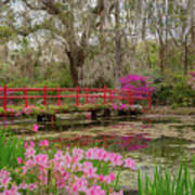 Red Bridge In Spring Poster