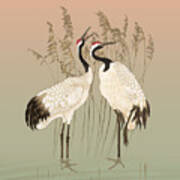 Red Crowned Cranes At Sunset Poster