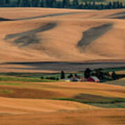 Red Farmhouse In The Wheat Fields Poster