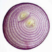 Red Onion 1 Poster