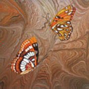Red Sandstone And Ca Butterflies Poster