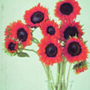 Red Sunflowers Poster