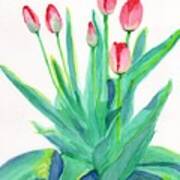 Red Tulips Poster