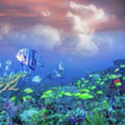 Reef Under The Sea And Sky Poster