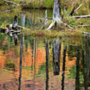 Reflection In A Beaver Pond #5039 Poster
