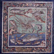 Roman Mosaic Of Fish From Pompei - Naples Archaeological Musum Italy Poster
