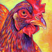 Rosie The Rhode Island Red Chicken Poster