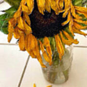 Rubino Brand Sunflower Sad Droop Bouquet Poster