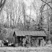Rustic Abandoned Shed In Onslow County North Carolina Poster
