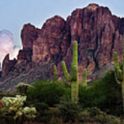 Saguaro Cactus And The Superstition Mountains Poster