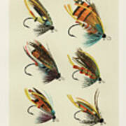 Salmon Fishing Flies I From Favorite Flies And Their Histories Poster