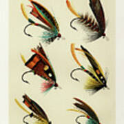Salmon Fishing Flies Ii From Favorite Flies And Their Histories Poster