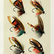 https://render.fineartamerica.com/images/rendered/small/poster/images/artworkimages/square/3/salmon-flies-1-vintage-fishing-flies-illustration-bellavista.jpg