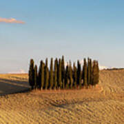 San Quirico Famous Group Of Cypress Trees In Tuscany, Poster
