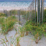 Sand Dune Fences, Cape Cod Poster