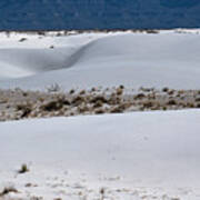 Sand Dunes And Vegetation At White Sands National Park Poster