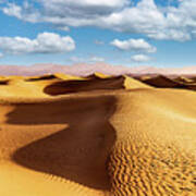 Sand Dunes Poster