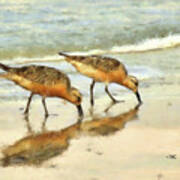 Sand Pipers Poster