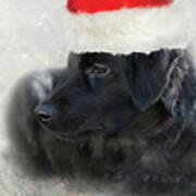 Santa Puppy Poster