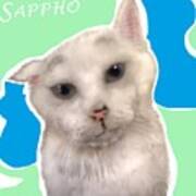 Sappho The Super Cat Poster