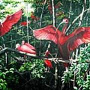 Scarlet Ibis Poster