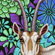 Scimitar Horned Oryx Floral Poster