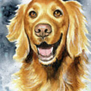 Scully Rose Dog Painting Poster