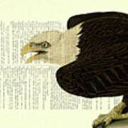 Sea Eagle Book Page Art Poster