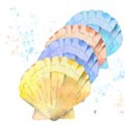 Sea Shell Art In Pastels Poster