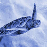Sea Turtle 2 In Blue Poster