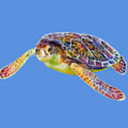 Sea Turtle 3 - Solid Background Poster