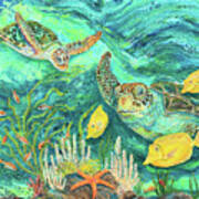 Sea Turtles And Tangs Poster