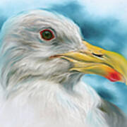 Seagull With Red Spotted Beak Poster