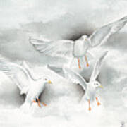 Seagulls In Flight Poster