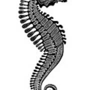 Seahorse Ink 5 Poster