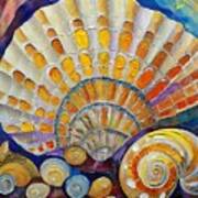 Seashells Abstract I Poster