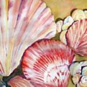 Seashells I Poster