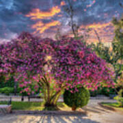 Seville - Jardines De Murillo Poster