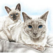 Siamese Cats Poster
