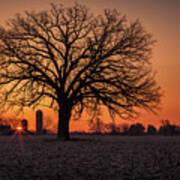 Silohenge Sunrise 1 Of 2 - Sunrise Aligned With Farm Silos And Majestic Oak Tree Poster