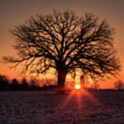 Silohenge Sunrise 2 Of 2 - Sunrise Aligned With Farm Silos And Majestic Oak Tree Poster