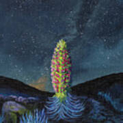 Silversword Poster