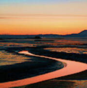 Skagit Wetlands Sy Poster