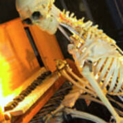 Skeleton Plays Piano Poster