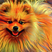 Skippy The Pomeranian Poster