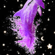 Sky Dolphin Night Poster