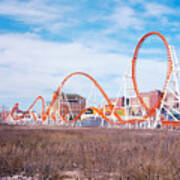 Snake Coney Island Poster