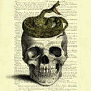Snake Skull Poster