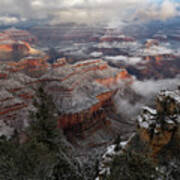 Snow And Fog On Winter Morning At Grand Canyon National Park Poster