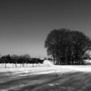 Snow Field And A Grupp Of Trees Poster